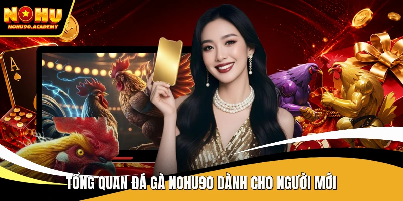 Tổng quan đá gà NOHU90 dành cho người mới